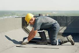 Best Roof Moss and Algae Removal  in Penn Valley, CA